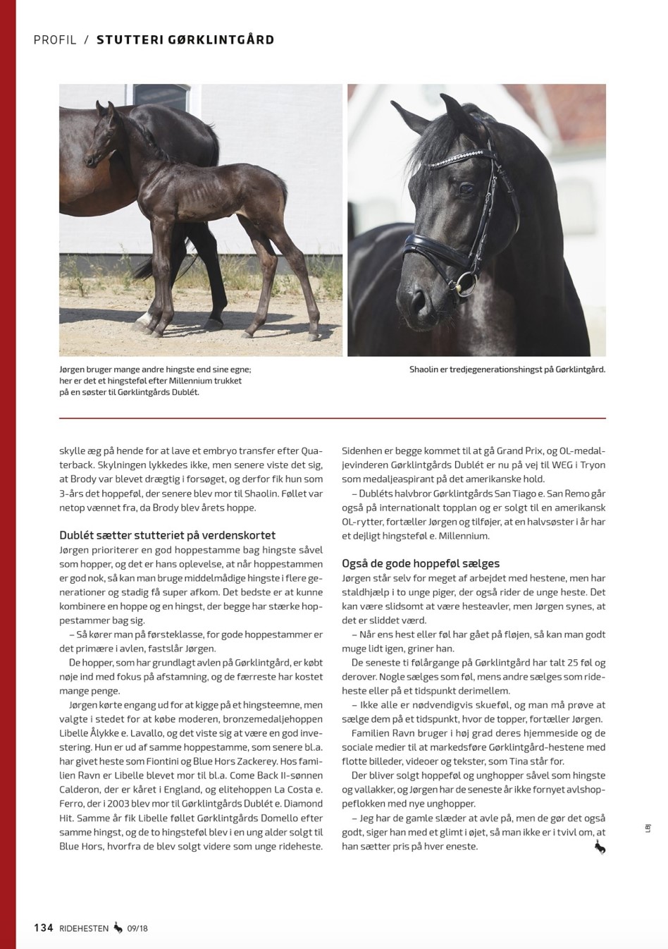 gb-www-goerklintgaard